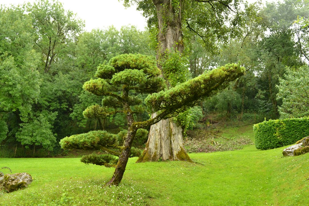 Les Jardins de lImaginaire.