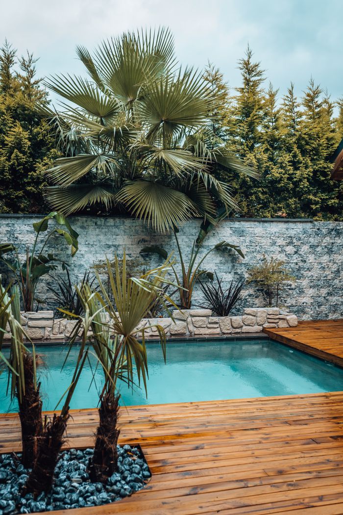 Pose de Clôtures, Claustras & Occultation à Strasbourg : Protégez Votre Intimité Luxurious tropical resort pool with palm trees and wooden deck, perfect for a summer vacation.